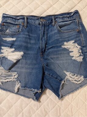 American Eagle 90’s Boyfriends Shorts Size 8
Like New.